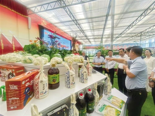 2025中國(guó)榆中高原夏菜新品博覽會(huì)盛大開(kāi)幕，1087個(gè)新品種引領(lǐng)農(nóng)業(yè)創(chuàng)新