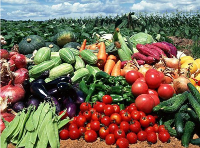 農(nóng)副產(chǎn)品價(jià)格低廉卻無人收購的原因探析