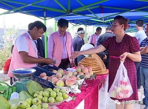 農(nóng)副產(chǎn)品促銷會(huì) 打通產(chǎn)銷對接，助力脫貧攻堅(jiān)的堅(jiān)實(shí)橋梁