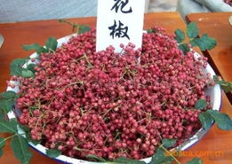 萊蕪市萊城區(qū)嘉譽農(nóng)副產(chǎn)品購銷中心調(diào)味香料與特色農(nóng)副產(chǎn)品全覽