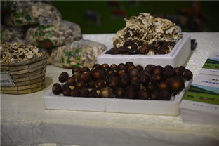 攜手豐臺，共繪鄉村振興新畫卷——豐臺區扶貧協作地區農副產品推介活動紀實